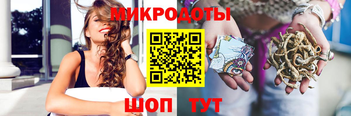 Галлюциногенные грибы Psilocybine cubensis Чехов