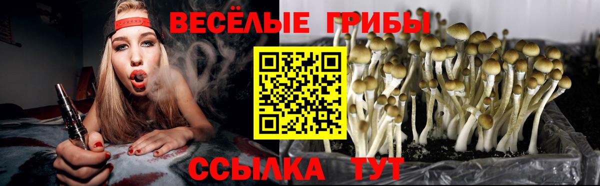 Чехов  Псилоцибиновые грибы прущие грибы  Вход с VPN 